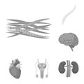 Internal organs of a human monochrome icons in set collection for design. Anatomy and medicine vector symbol stock web