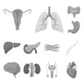 Internal organs of a human monochrome icons in set collection for design. Anatomy and medicine vector symbol stock web