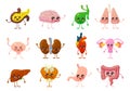 Internal organs. Human smiling brain, bladder and stomach, kidneys and intestines, liver and lungs, heart and pancreas