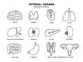 Internal organs icon set. Human organs infographic elements in line design isolated on white background. Brain, thyroid