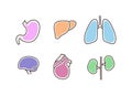 Internal organs icons, isolated drawings
