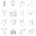 Internal organs icons set, outline style Royalty Free Stock Photo