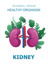 Internal organs medical poster concept