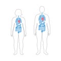 Internal organs of obese male and woman