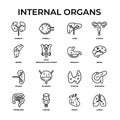 Internal organs outline icon set