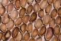 Internal part of pistachios shells.