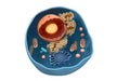Internal structure of an animal cell, 3d rendering. Section view Royalty Free Stock Photo