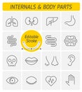 The internals and body parts outline vector icon set