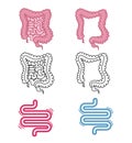 The internals icon vector set.Digestive system,intestine vector symbol. Viscera, inside organs vector linear pictograms. Thin line