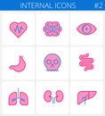 The internals vector outline color icon set.