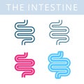 The internals icons. Intestine and digestive system vector outline symbols.