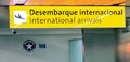 International Arrivals at S. Paulo-Guarulhos