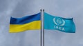 International Atomic Energy Agency IAEA and Ukraine, flag IAEA and Ukraine, Copy space, 3d illustration and 3d work