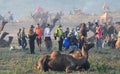 International Camel Fair in Pushkar