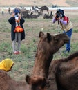 International Camel Fair in Pushkar