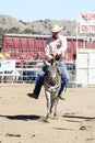 International Camel Races in Virginia City, NV, US