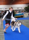 International Canine Show Royalty Free Stock Photo