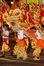 INTERNATIONAL CHINESE NEW YEAR NIGHT PARADE 2009