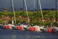 Four J/70 yachts moored in the wake against the backdrop of the shore on a sunny summer evening