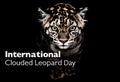 International clouded leopard day celebration featuring majestic big cat Royalty Free Stock Photo