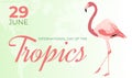 International Day of the Tropics Background Illustration Banner