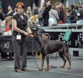 International dog show