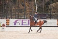 International Dressage