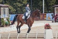 International Dressage