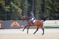 International Dressage