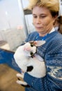 International exhibition of cats Royalty Free Stock Photo