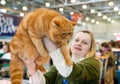International exhibition of cats Royalty Free Stock Photo