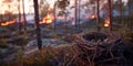 a nest with small chicks on the background of a burning forest, forest fires, rescue of wild