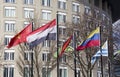 International Flags in The Hague Royalty Free Stock Photo