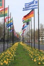 International flags in The Hague Royalty Free Stock Photo