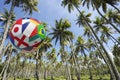 International Football Soccer Ball Flying in Brazilian Palm Grove Royalty Free Stock Photo