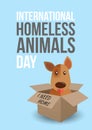 International homeless animals day. Cute dog in a box whith I Need Home text. Pets adoption concept. Poster template. Royalty Free Stock Photo