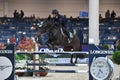 International Horse Riding 121ÃÂ° Horse Fair in Verona Royalty Free Stock Photo