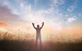 Slave hands broken chains with bird flying Royalty Free Stock Photo