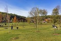 International Istanbul Urban Forest and park established on 5 million square meters. Nature Royalty Free Stock Photo