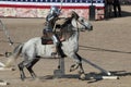 International Jousting Competition Royalty Free Stock Photo