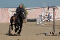 International Jousting Competition Royalty Free Stock Photo