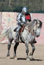 International Jousting Competition Royalty Free Stock Photo