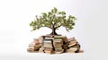 International literacy day concept with tree with books like leaves. Literacy, education, knowledge concept with color books on