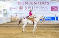 International Mariachi & Charros festival