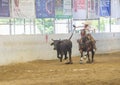 International Mariachi & Charros festival