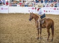 International Mariachi & Charros festival