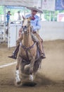 International Mariachi & Charros festival