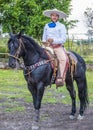 International Mariachi & Charros festival