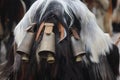 International masquerade festival Surva in Pernik, Bulgaria Royalty Free Stock Photo