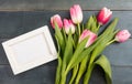 Mother`s day. Pink tulips and a white blank frame on blue background, copy space, top view Royalty Free Stock Photo